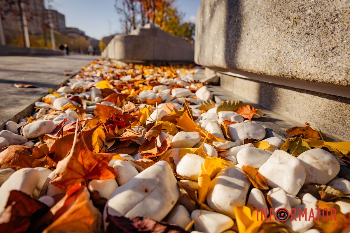 Реконструкцию приступили летом 2021 года