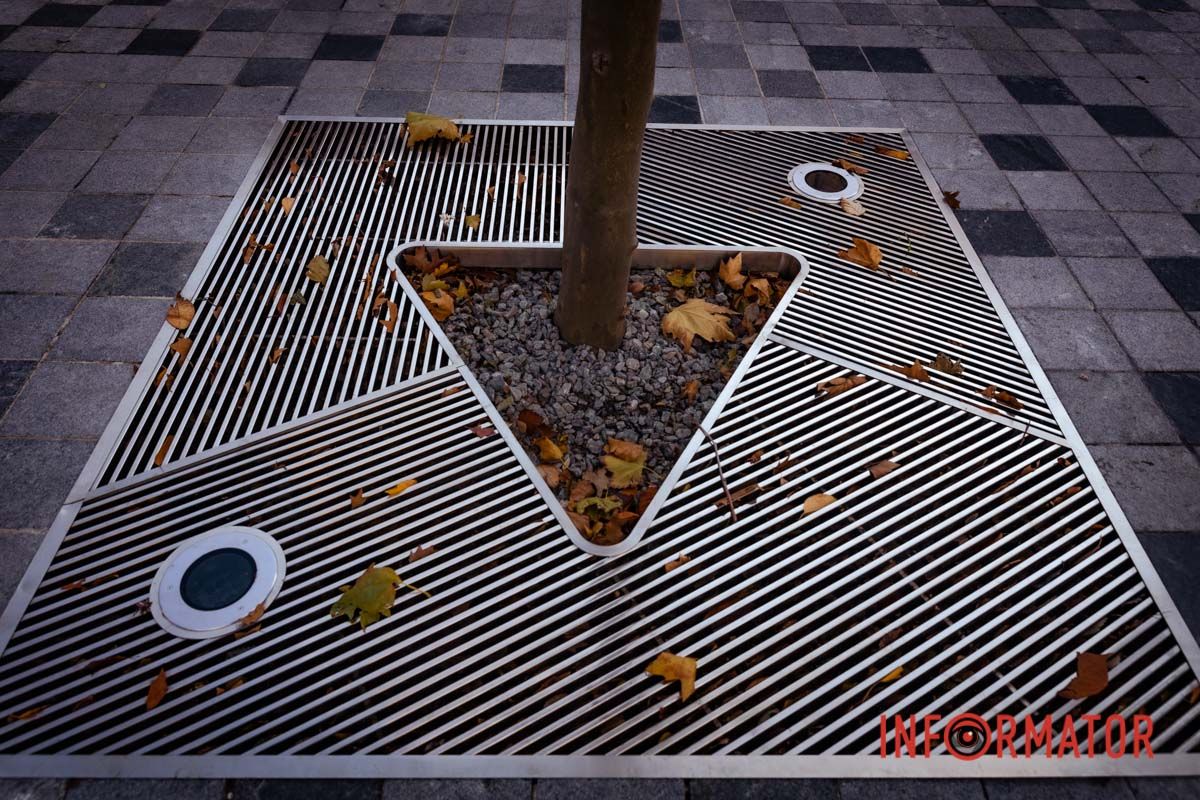 Так смотрятся лунки вокруг деревьев