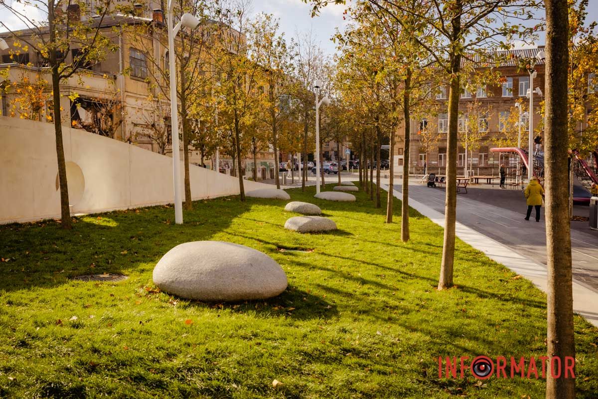 Высадили более 160 деревьев, а также кусты, застелили газоны