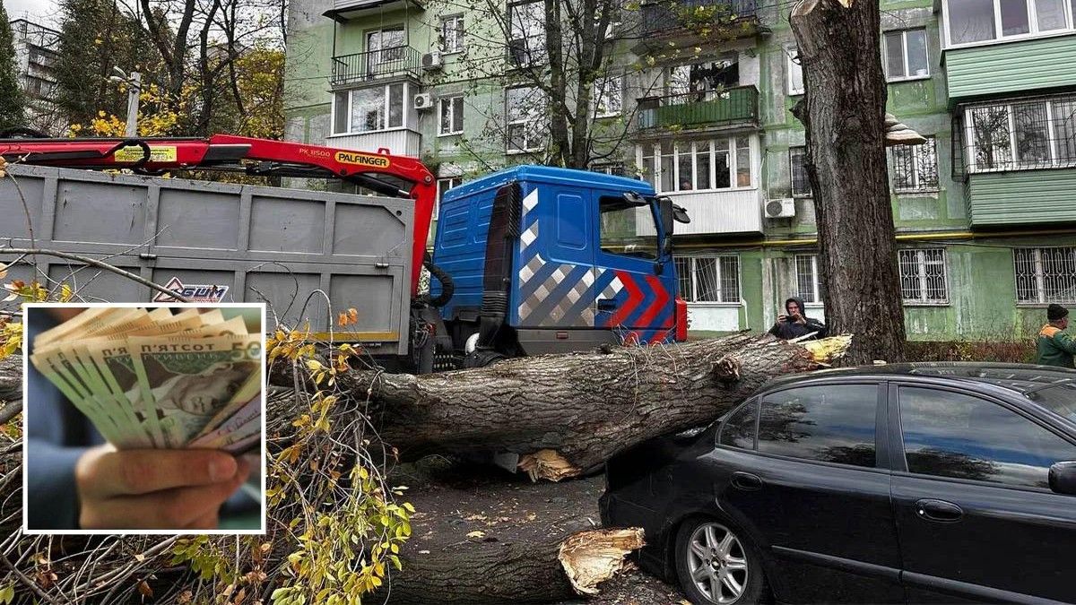 Как в Днепре получить компенсацию, если ваше имущество пострадало из-за непогоды