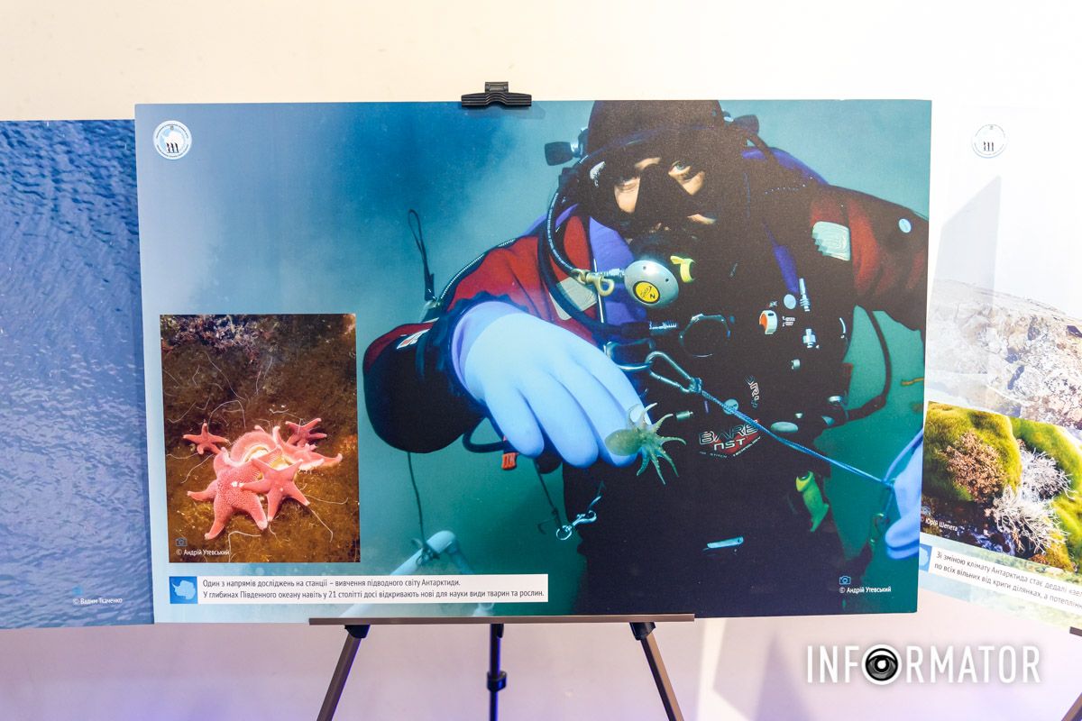 Збирають зразки під водою 