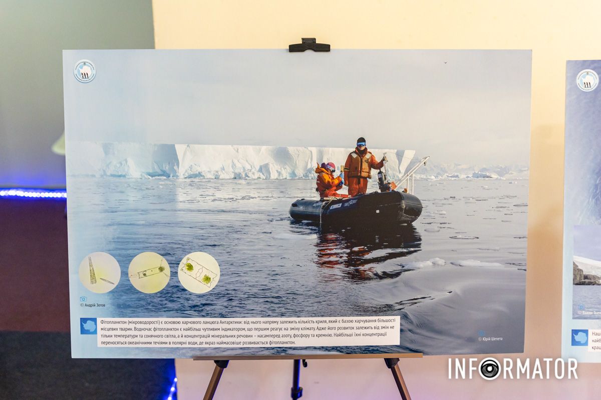 Дослідження 