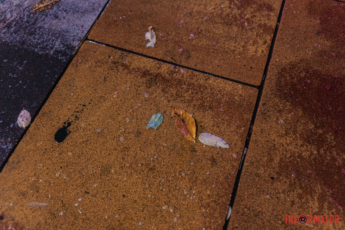 Листочки Листочки