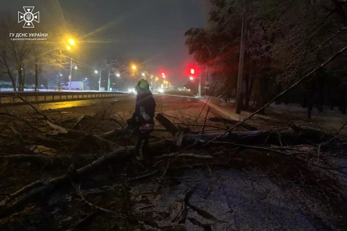 Гілки падали на дороги Гілки падали на дороги