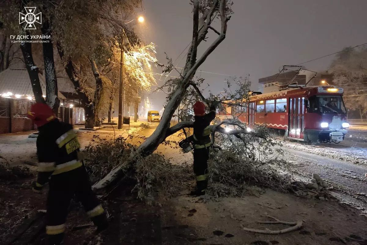 Рятувальники 24 рази залучалися до прибирання повалених дерев та гілок Рятувальники 24 рази залучалися до прибирання повалених дерев та гілок
