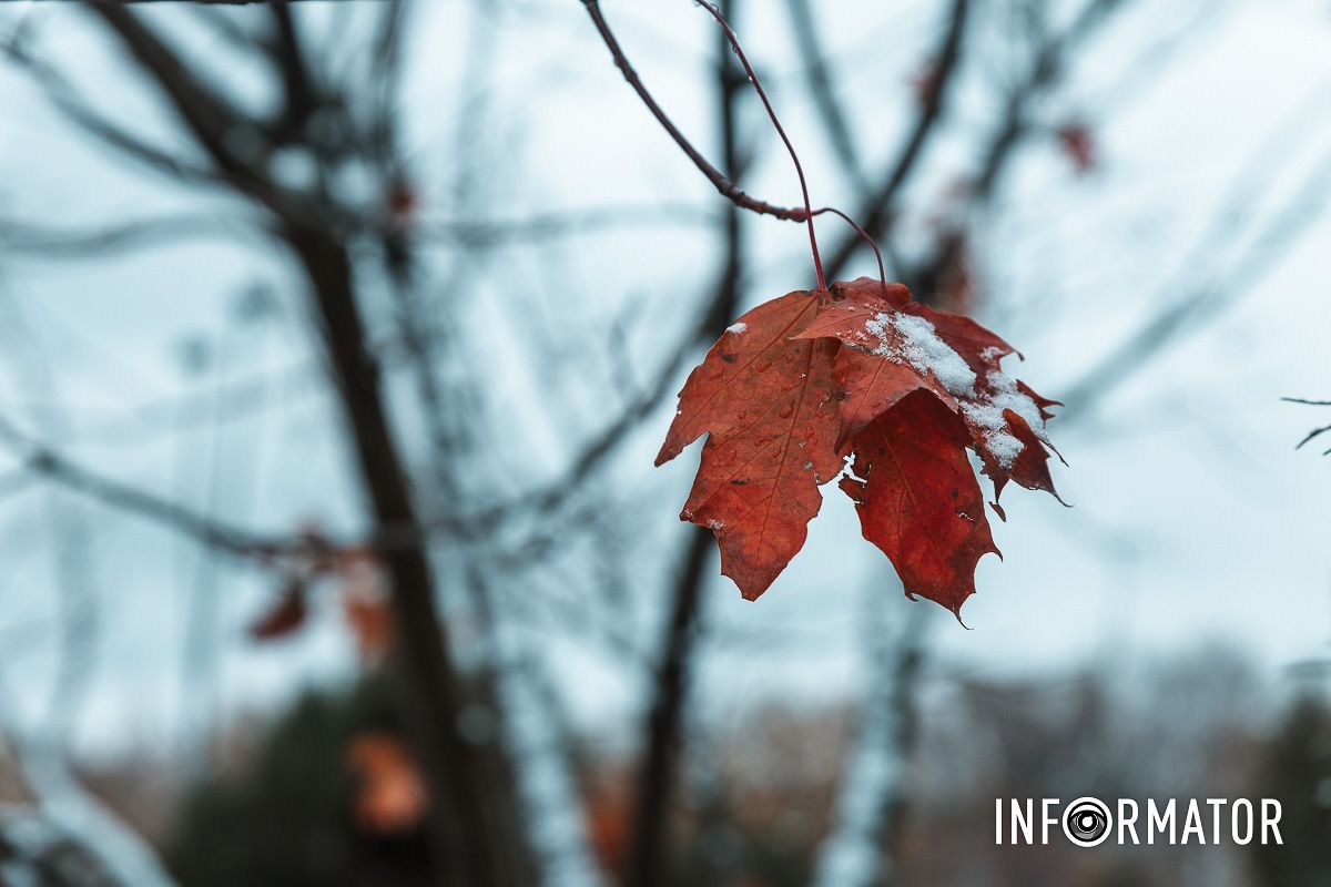 Зимняя красота в каждой снежинке