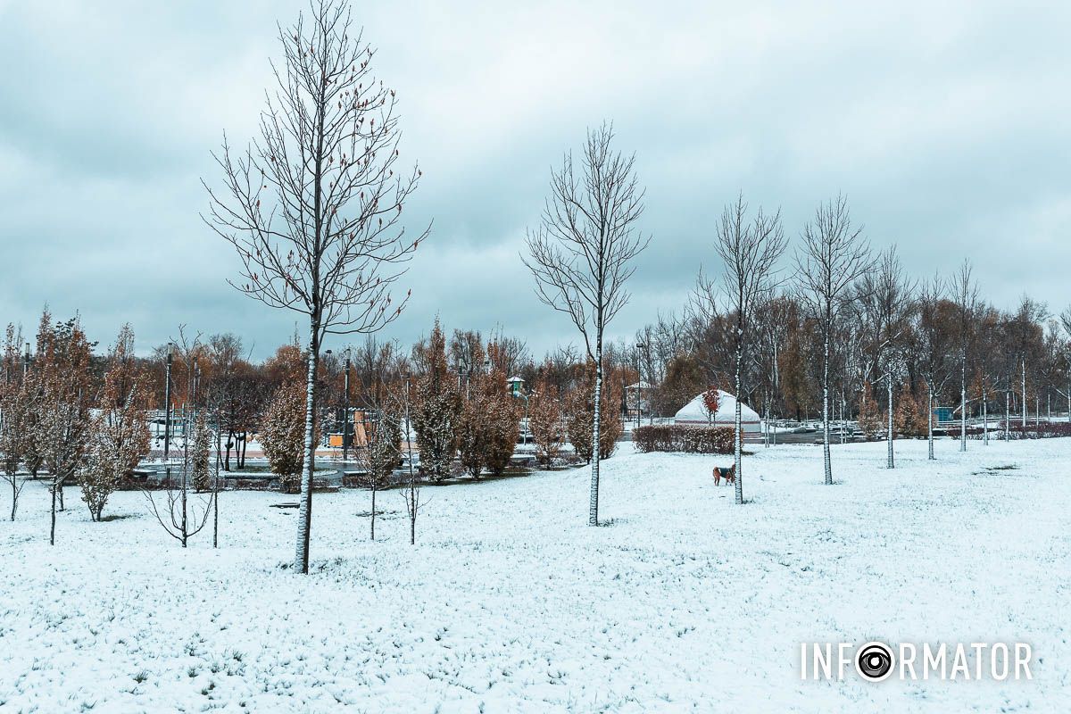 Мгновение покоя в снежном покрове