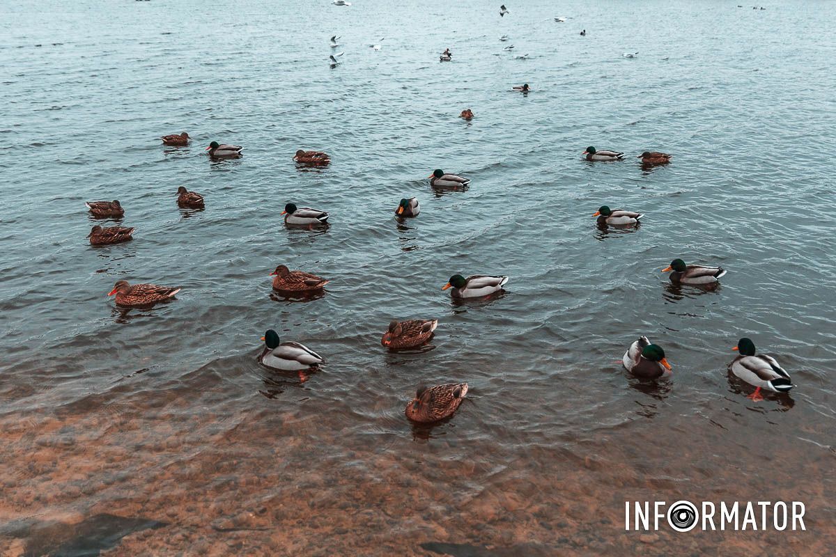 Прямо как в одной сказке