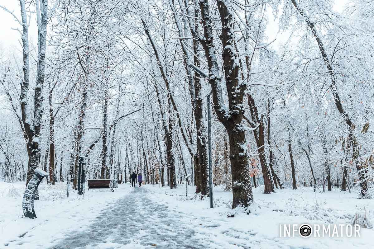 Зимняя феерия в объективе холодной красоты