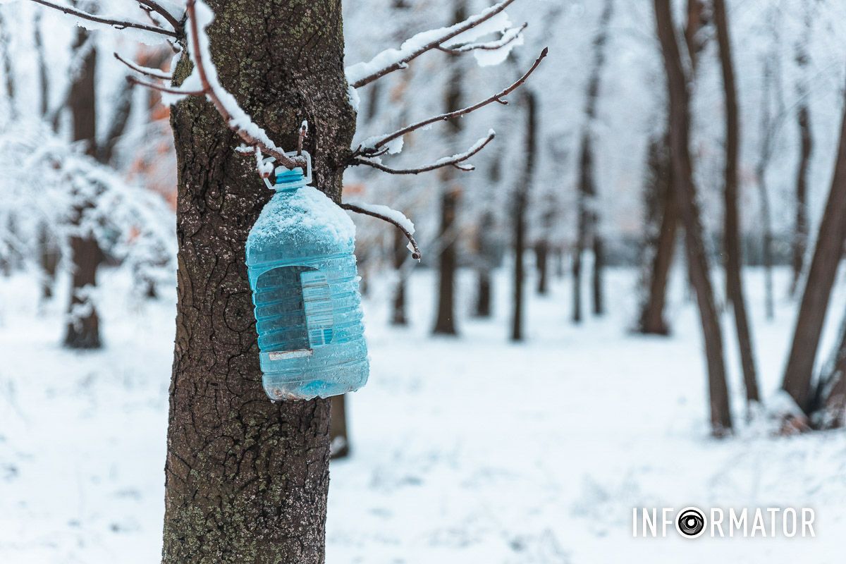 Здесь можно оставить ваши орешки