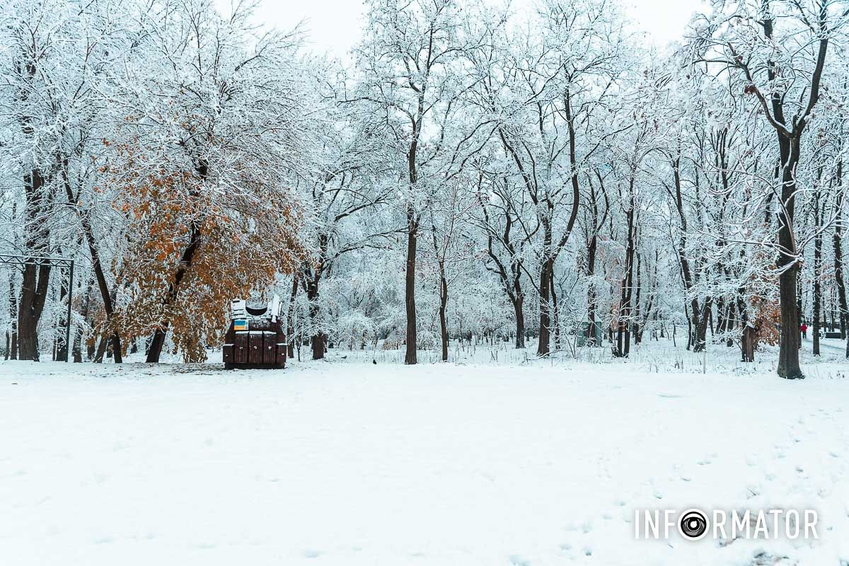 Наконец-то дождались