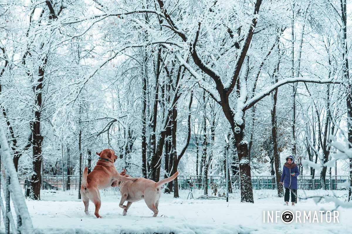 Малышам нравится