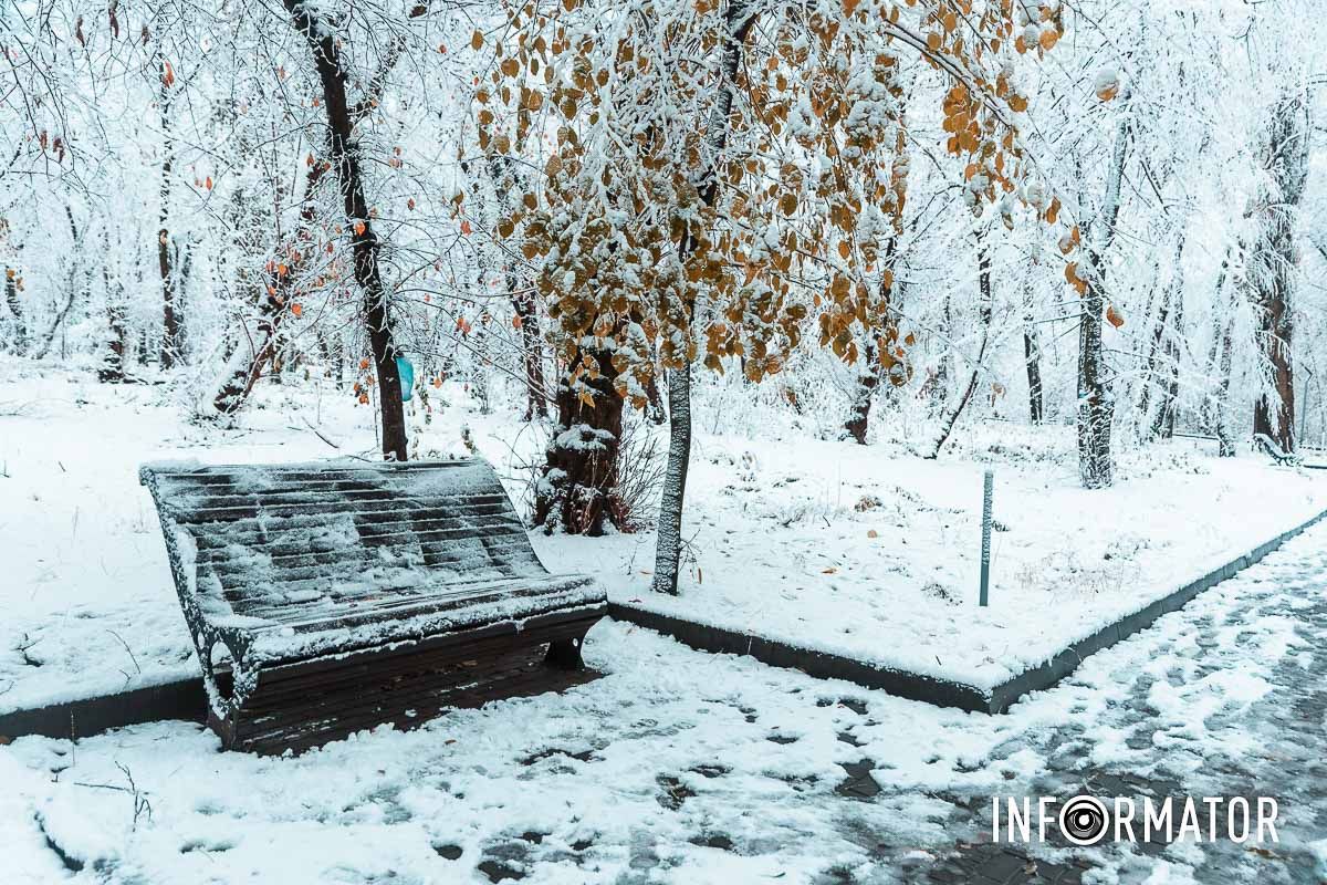 Замерзшие капли росы на ветках