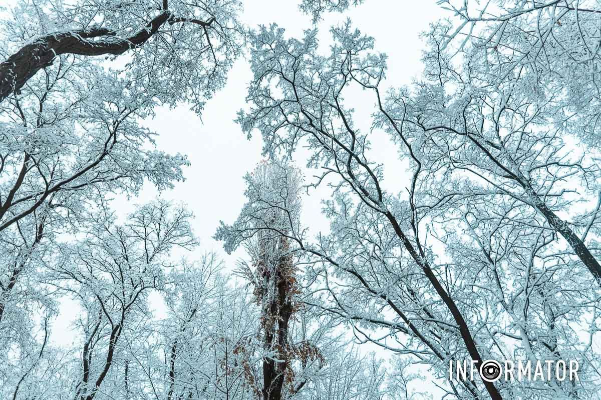 Тихая красота замерзшего утра