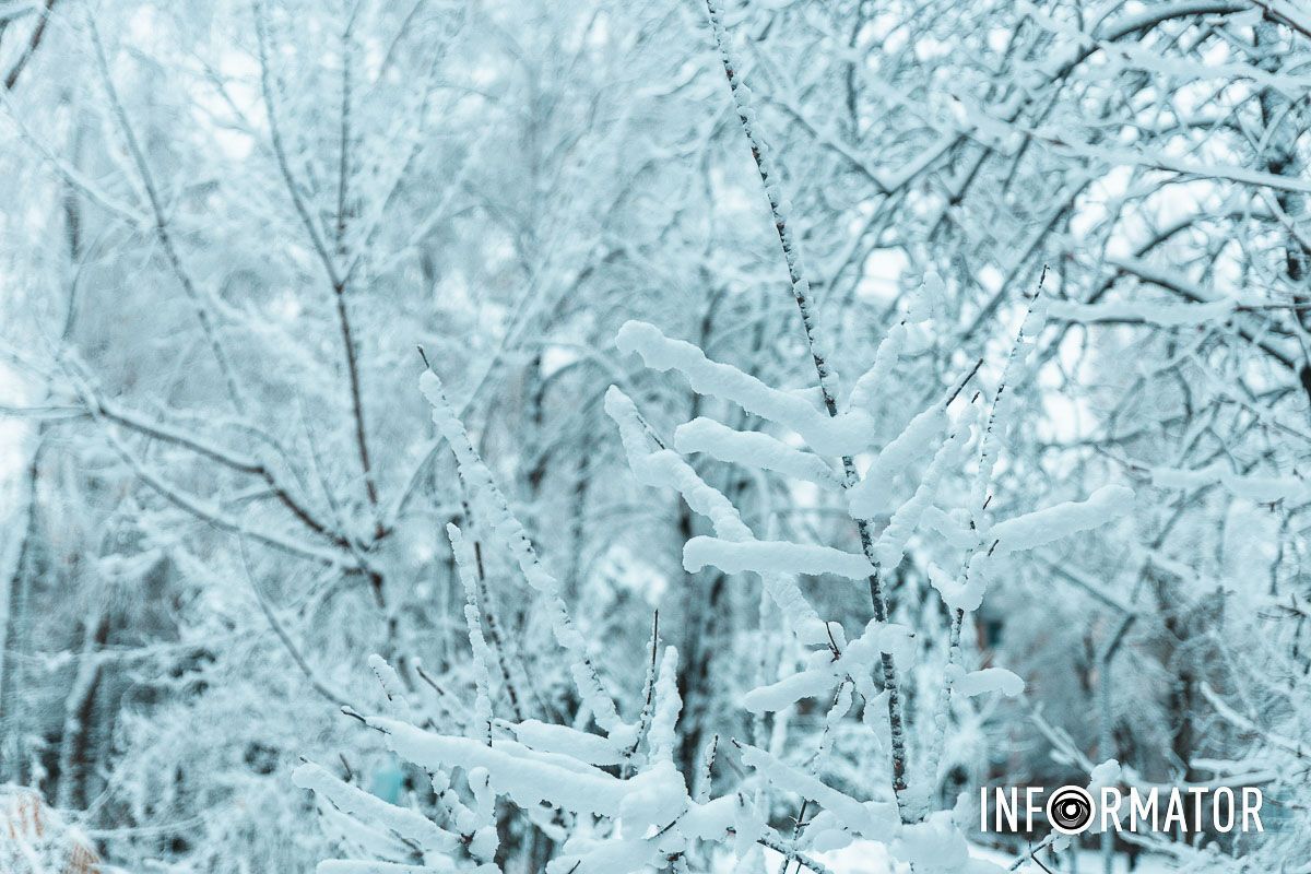 Снежное одеяло покрыло город