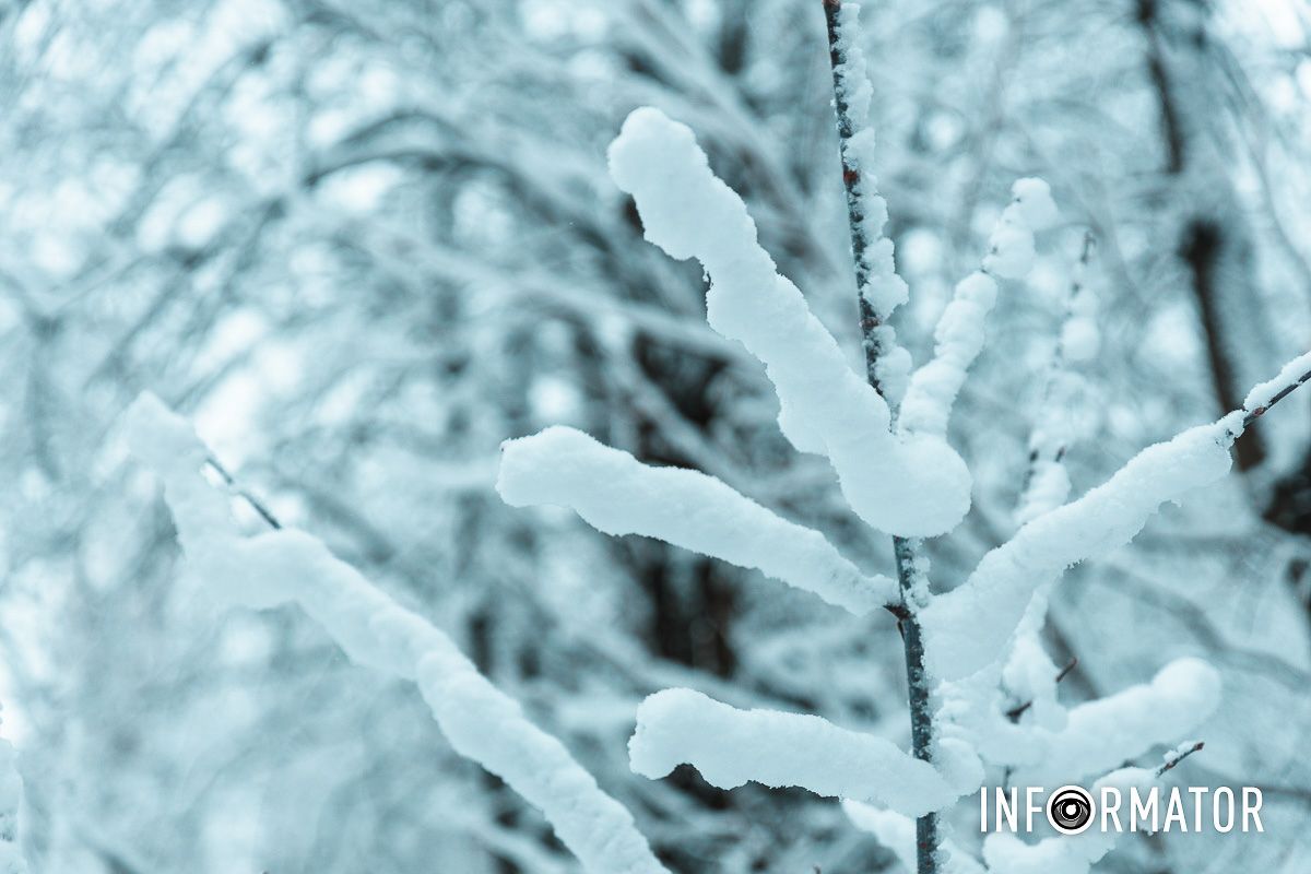 Снежная эстетика,