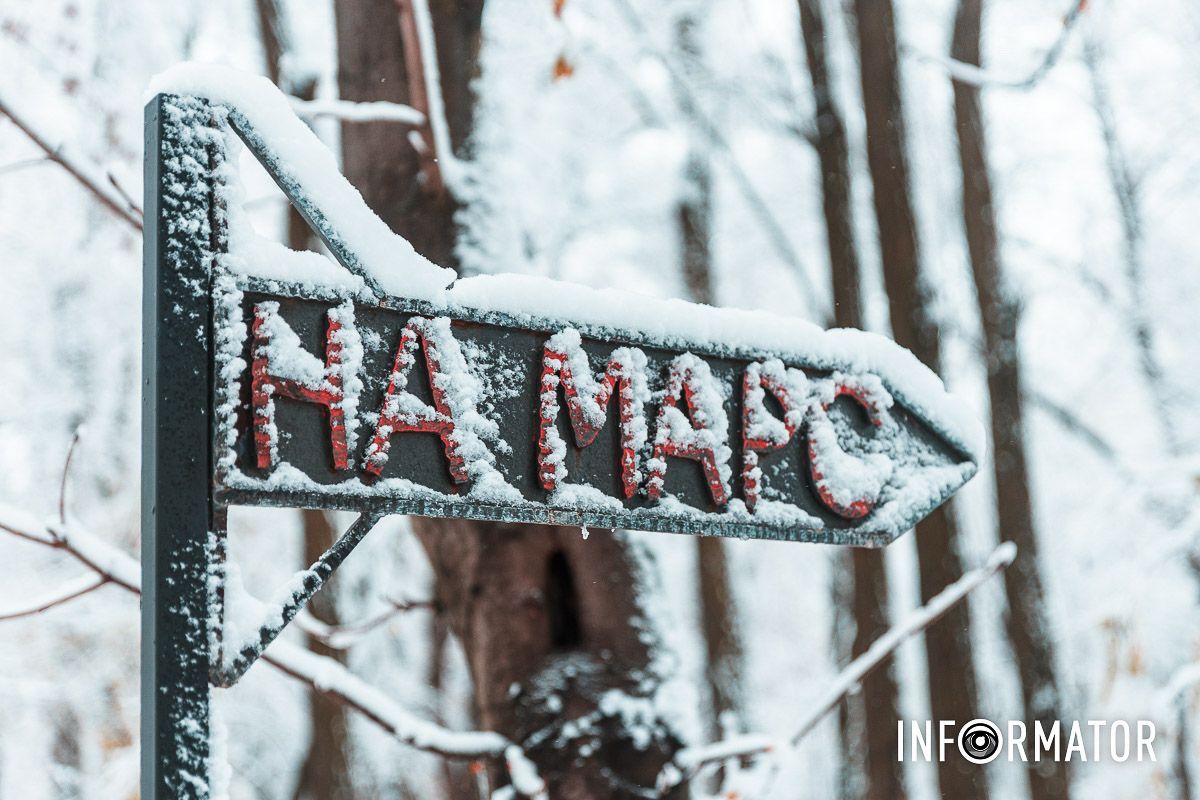 Отражение красоты природы