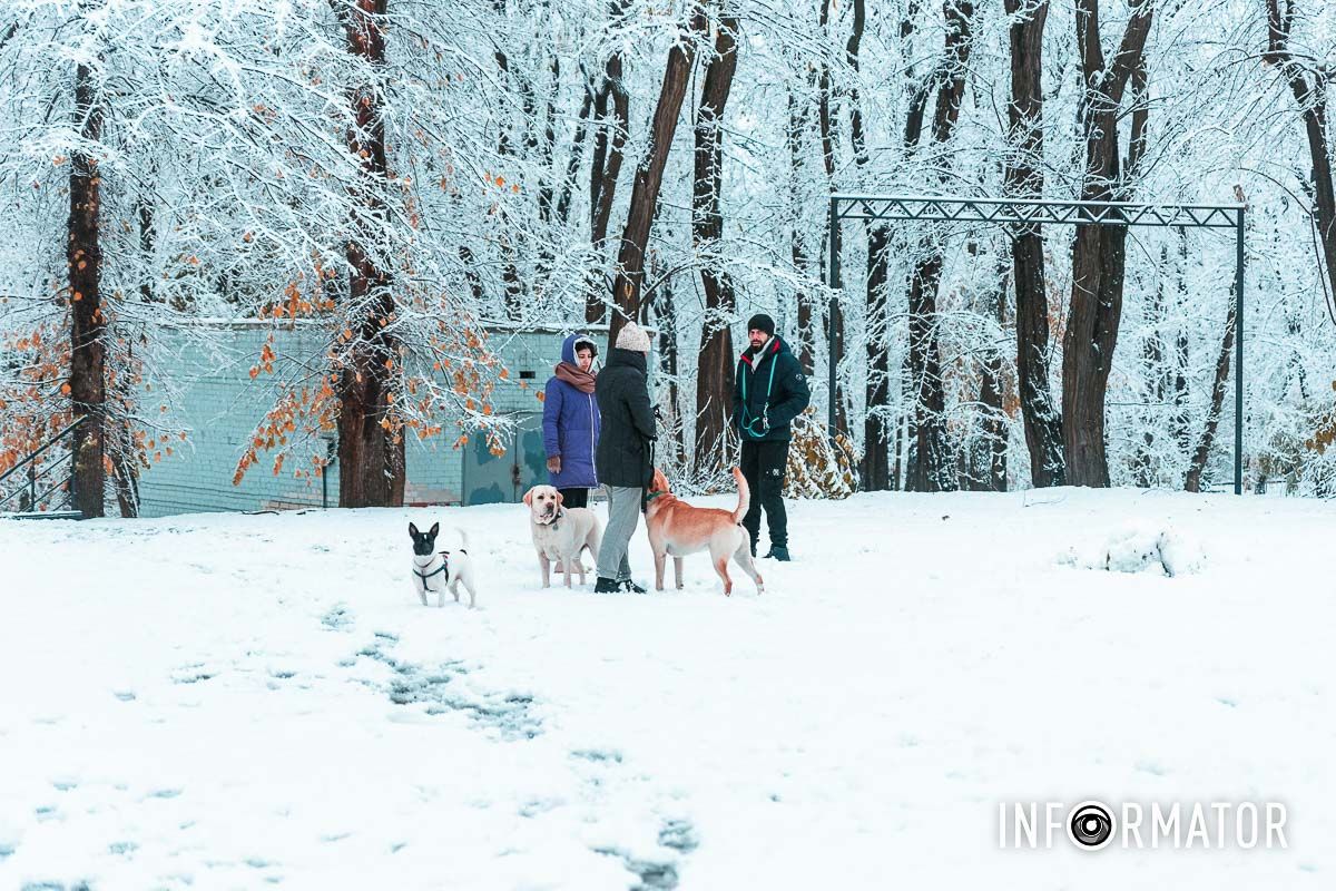 Прогулка с домашними питомцами