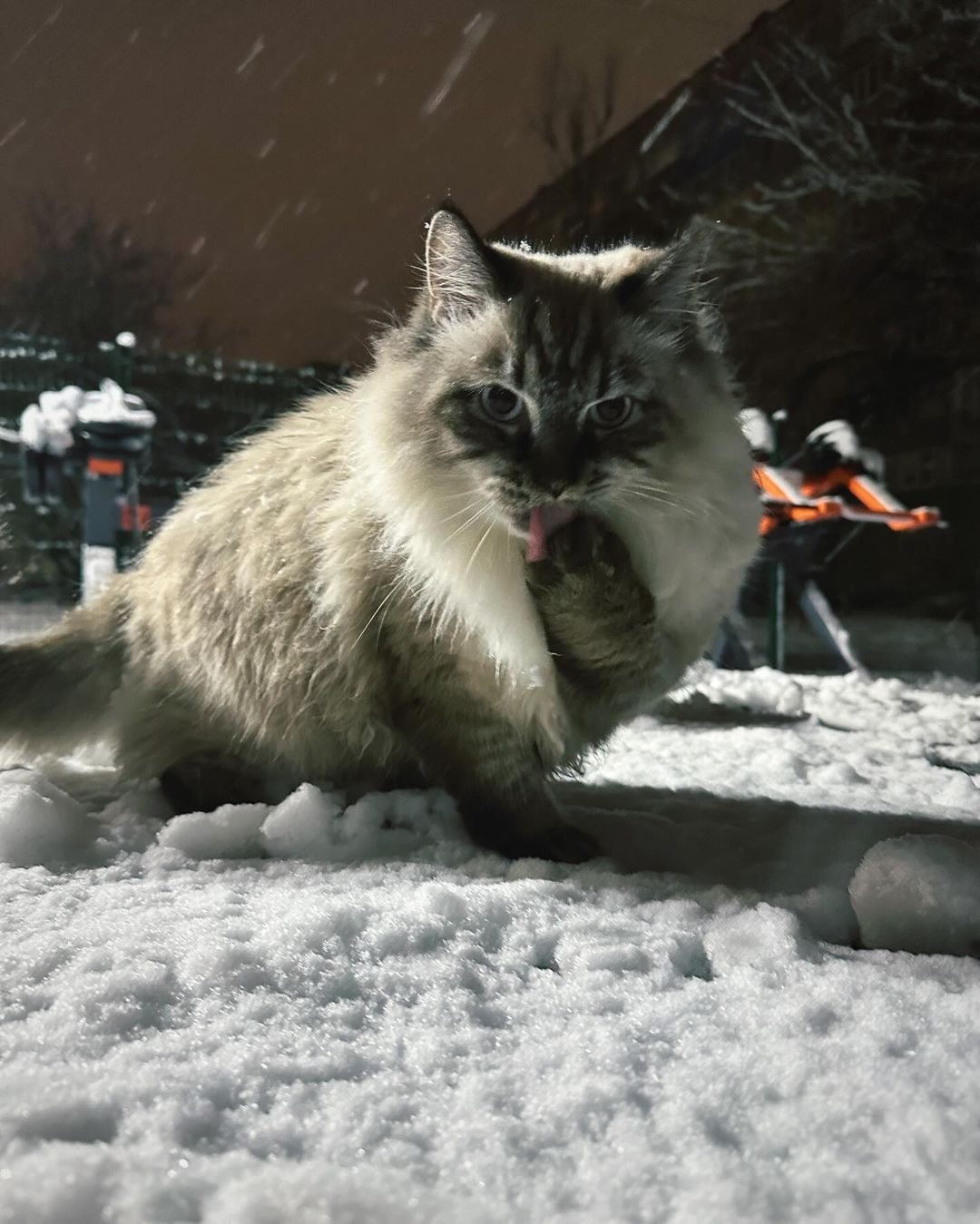 @m.sushitska @m.sushitska