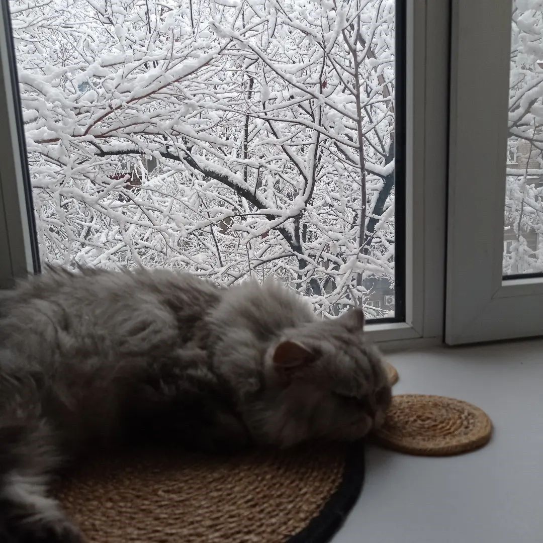 @ingavasilenko @ingavasilenko