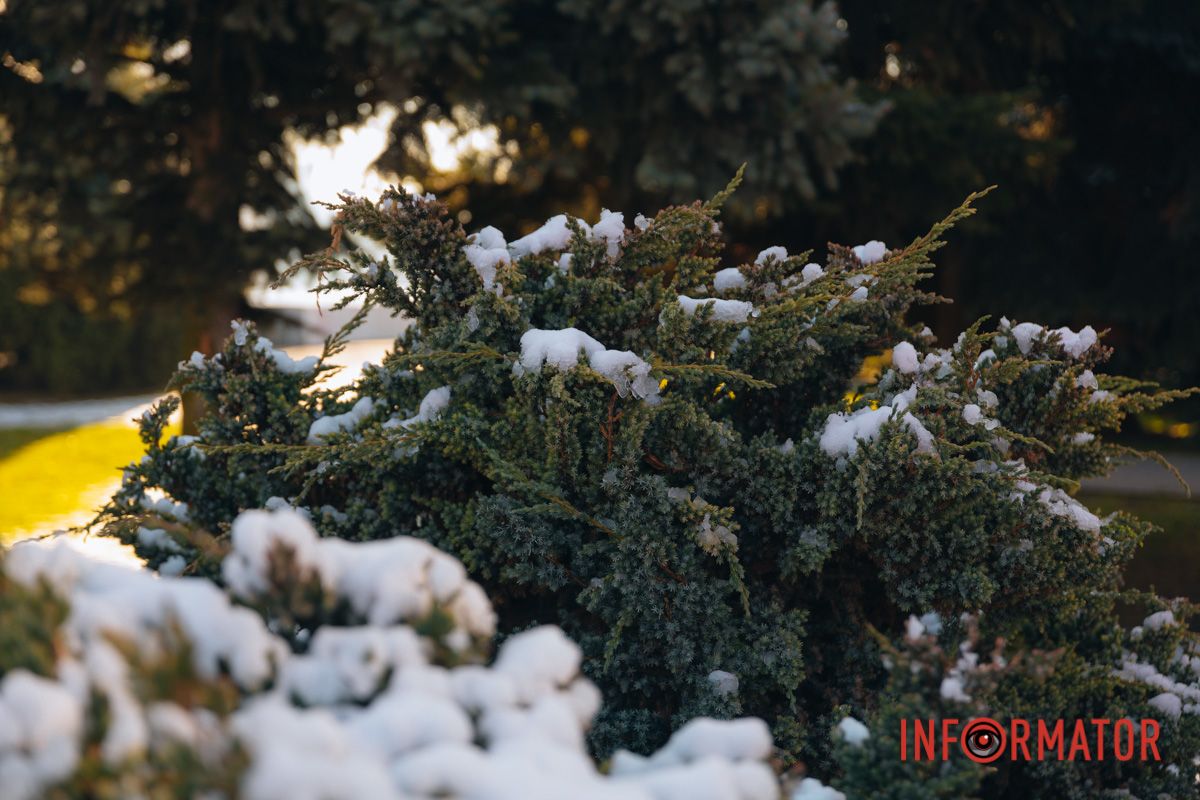 Холодні обійми природи