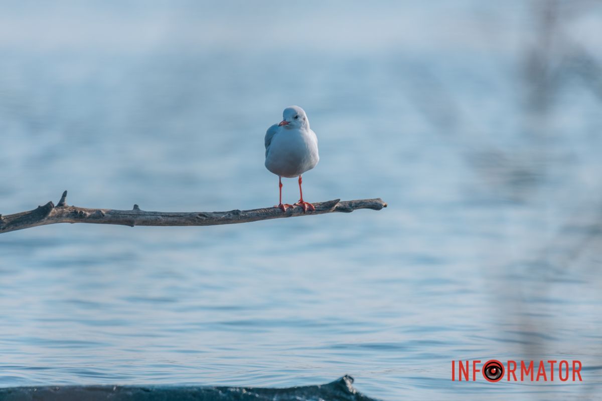 Хто тримає цей район?