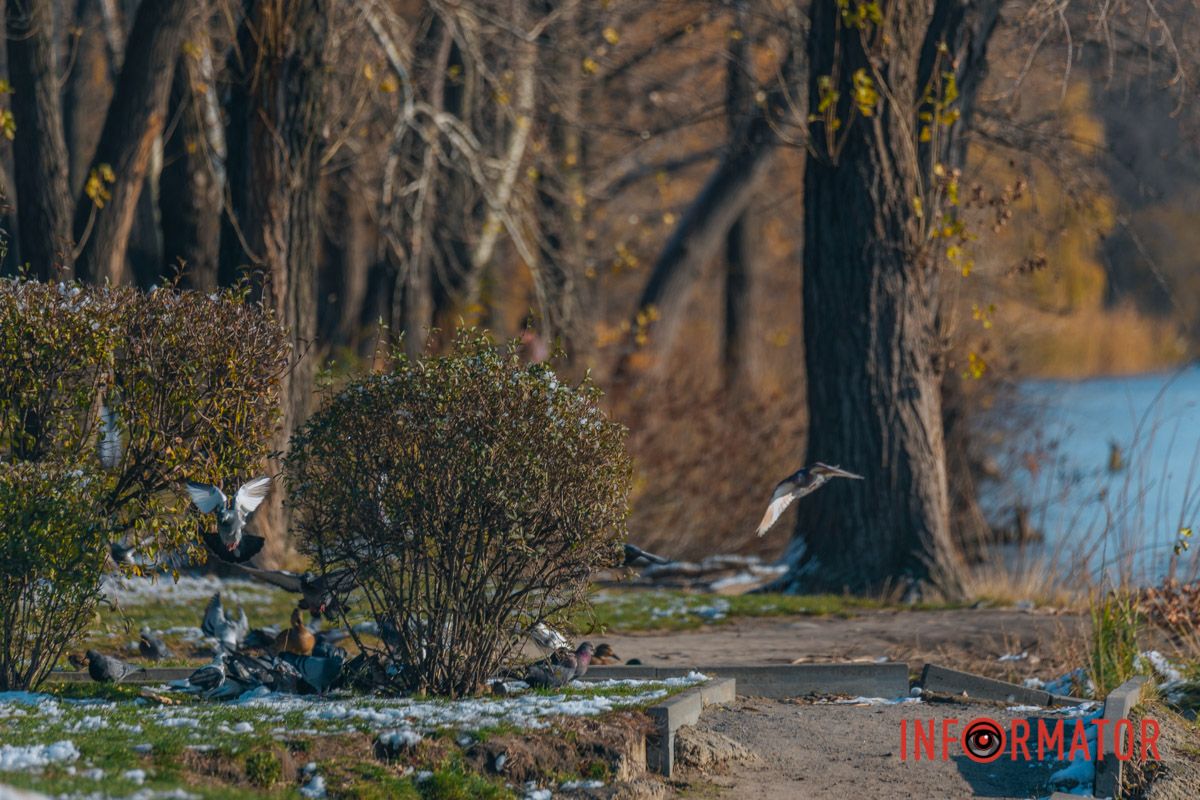 Кожен елемент є часткою гармонії