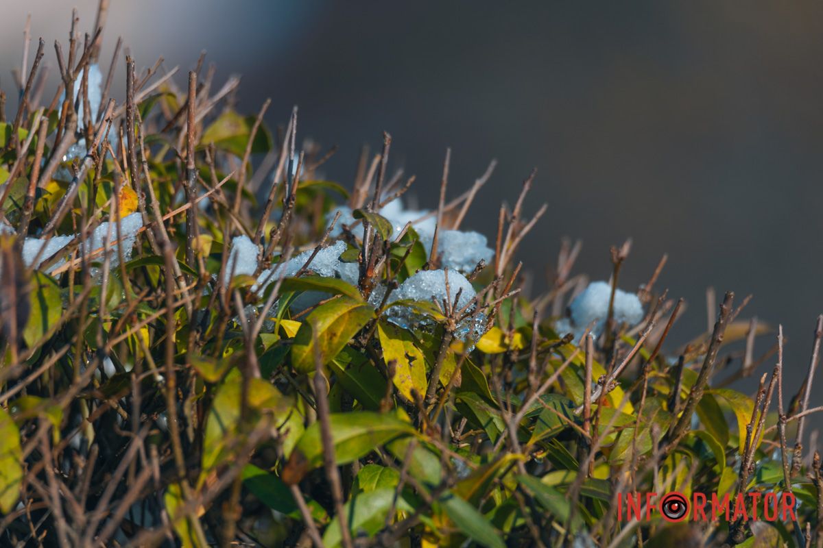 Дивовижний світ нас оточує