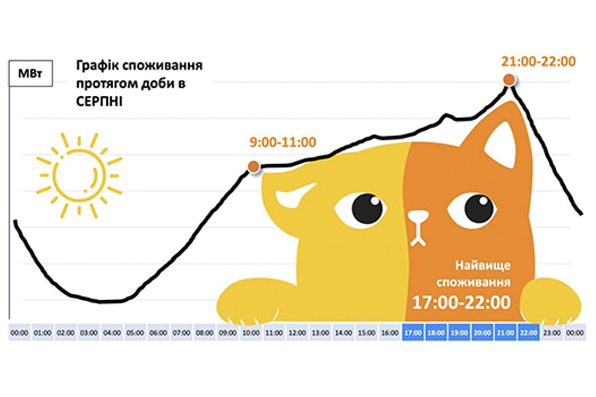 "Котик" летом "Котик" летом