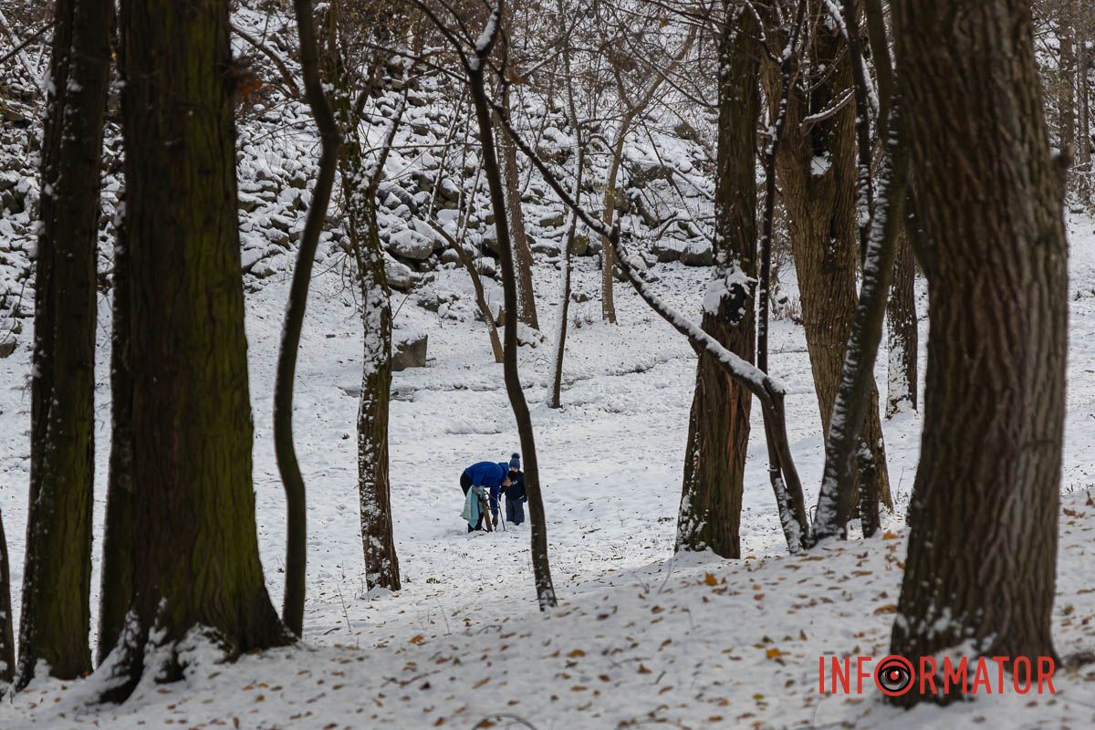 Адміністрації парків не відповідають за ваші життя та здоров'я