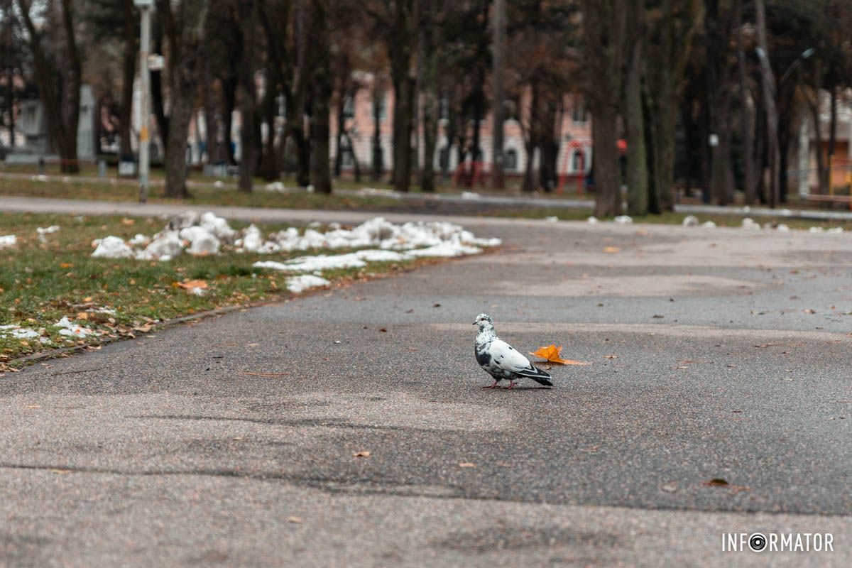 Тримає цей район Тримає цей район