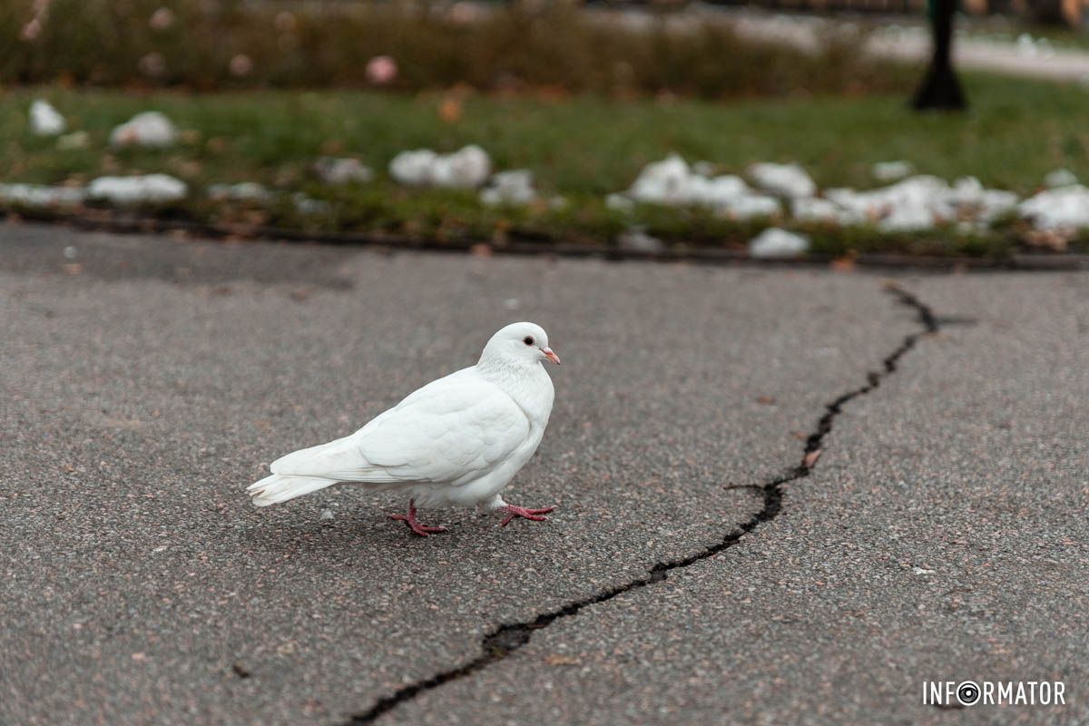 Сфотка ніби йду така Сфотка ніби йду така