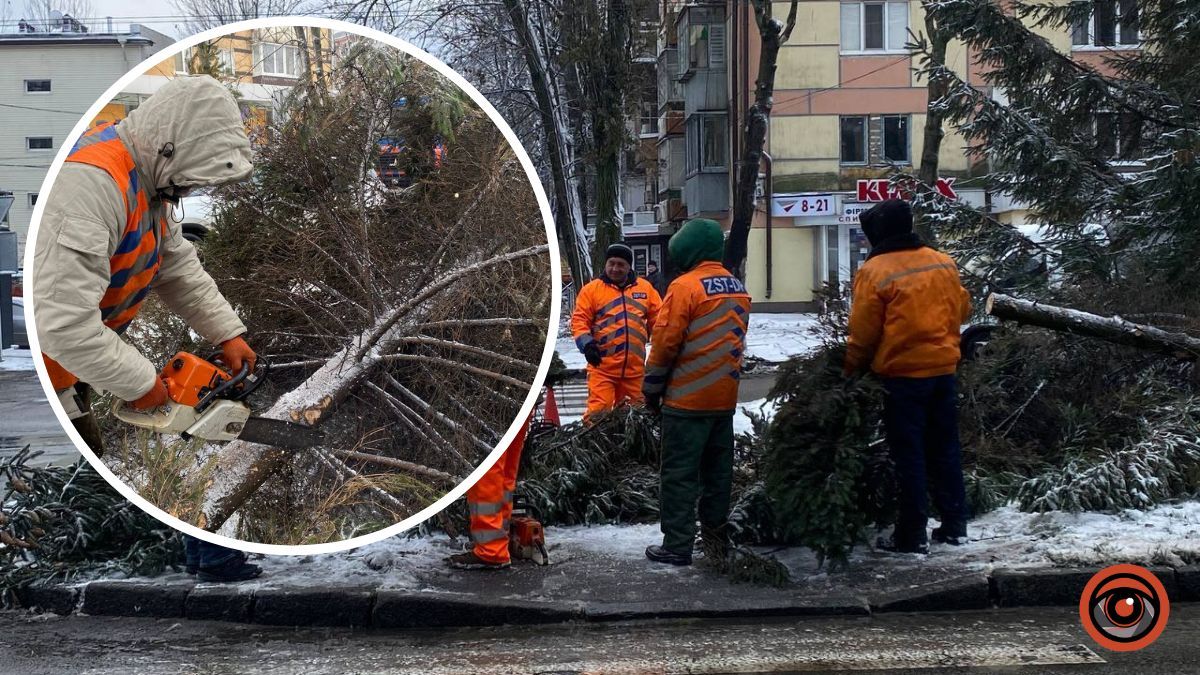 В Днепре на Гагарина ветер вырвал с корнями 10-метровую елку