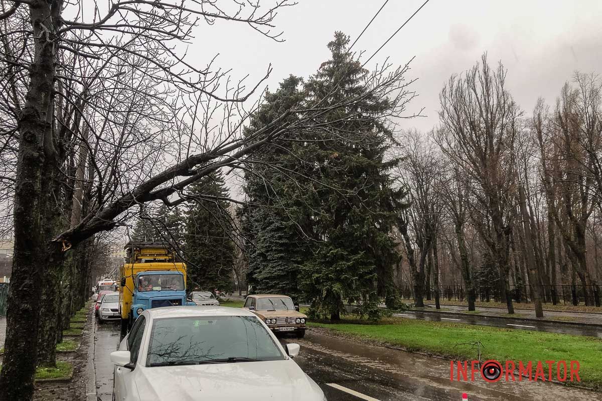 На проспекті Гагаріна гілка дерева впала на контактну мережу На проспекті Гагаріна гілка дерева впала на контактну мережу