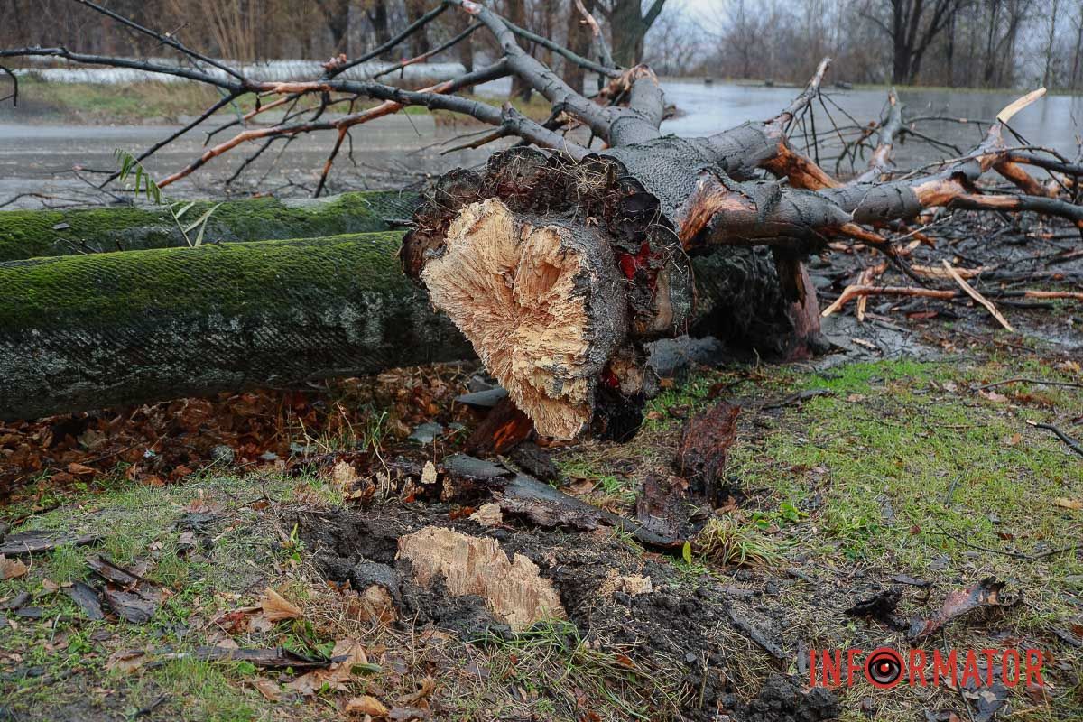 Комунальники та ДСНС ліквідовують наслідки негоди по місту Комунальники та ДСНС ліквідовують наслідки негоди по місту