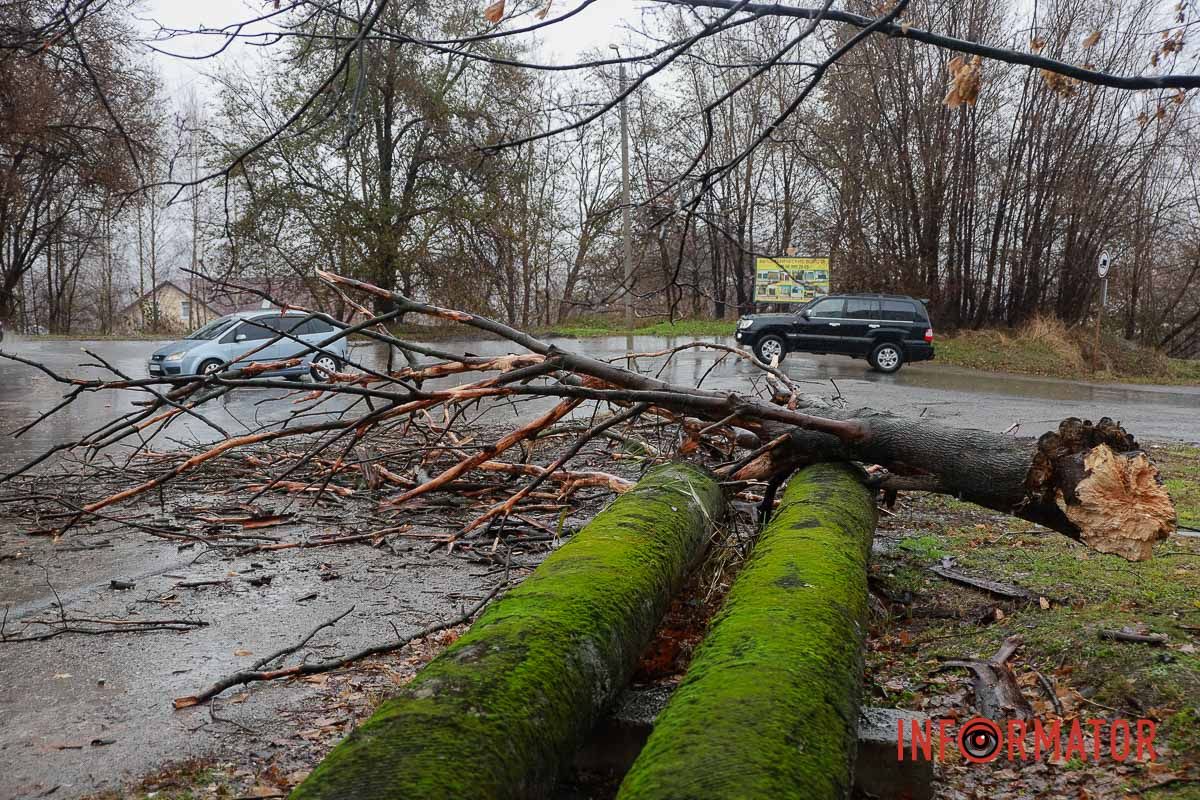 Вітер валить дерева по місту Вітер валить дерева по місту