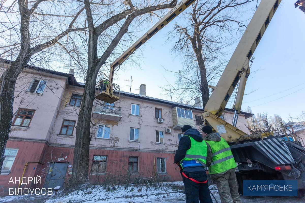 Обрезка аварийных деревьев по проспекту Свободы, 51