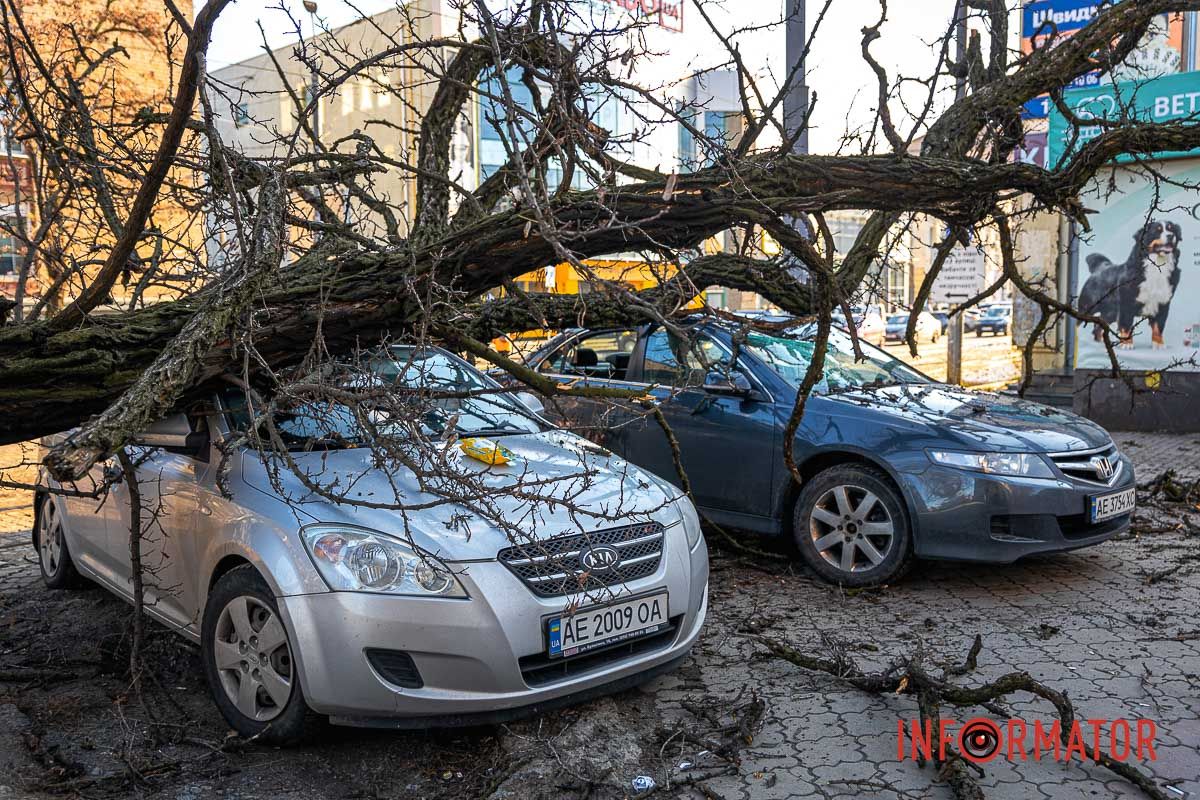 Вскоре дерево должны убрать с тротуара Вскоре дерево должны убрать с тротуара