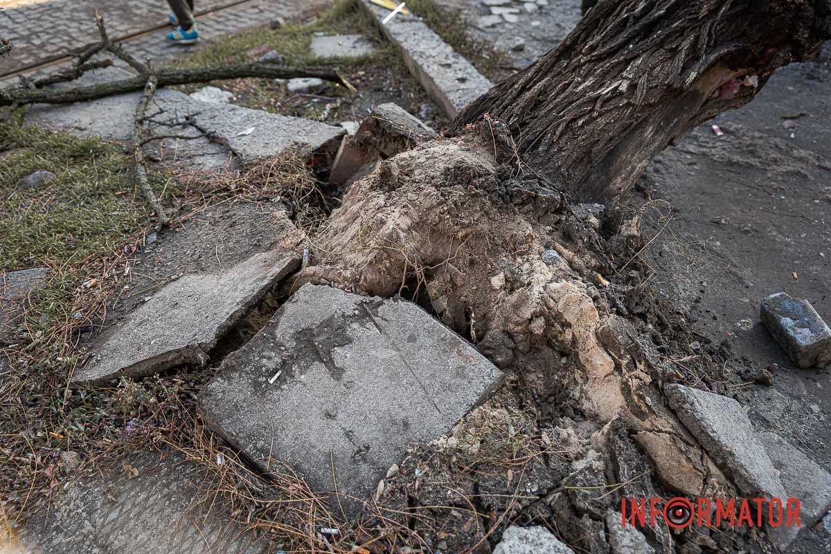 Вырвало с корнями Вырвало с корнями