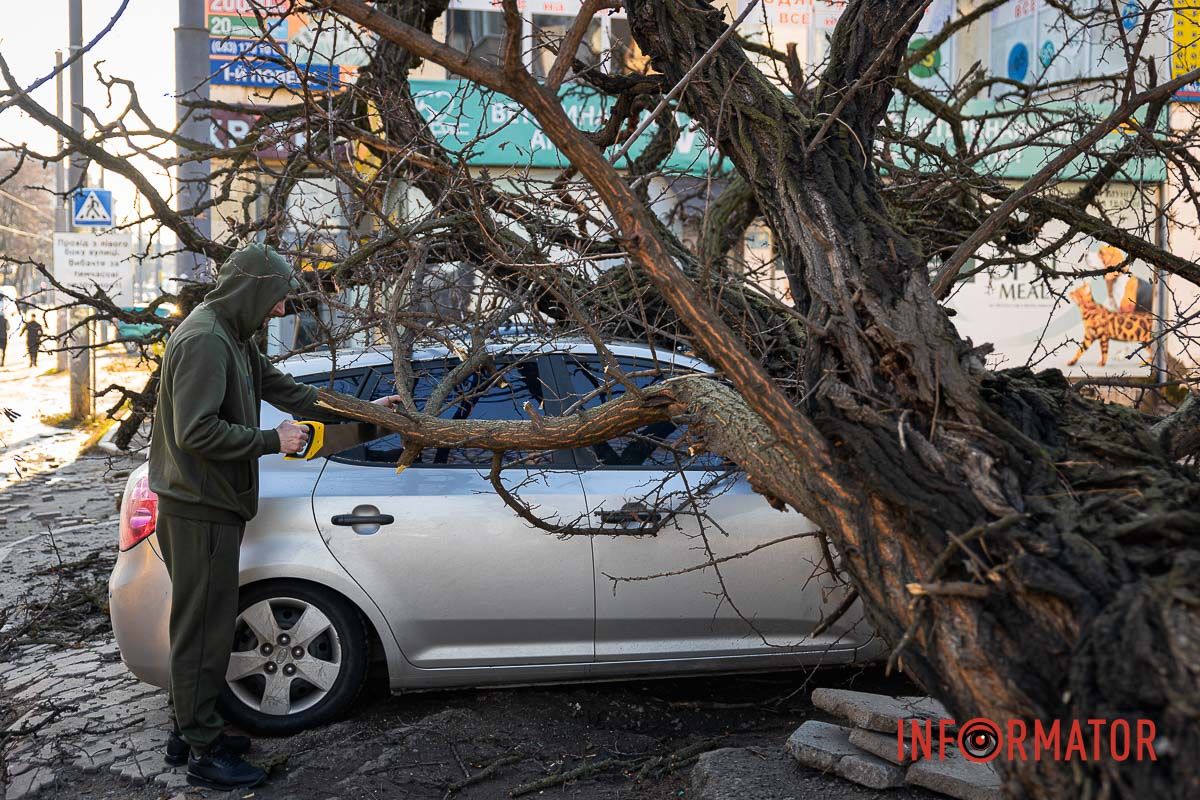 Водитель пилит ветвь Водитель пилит ветвь