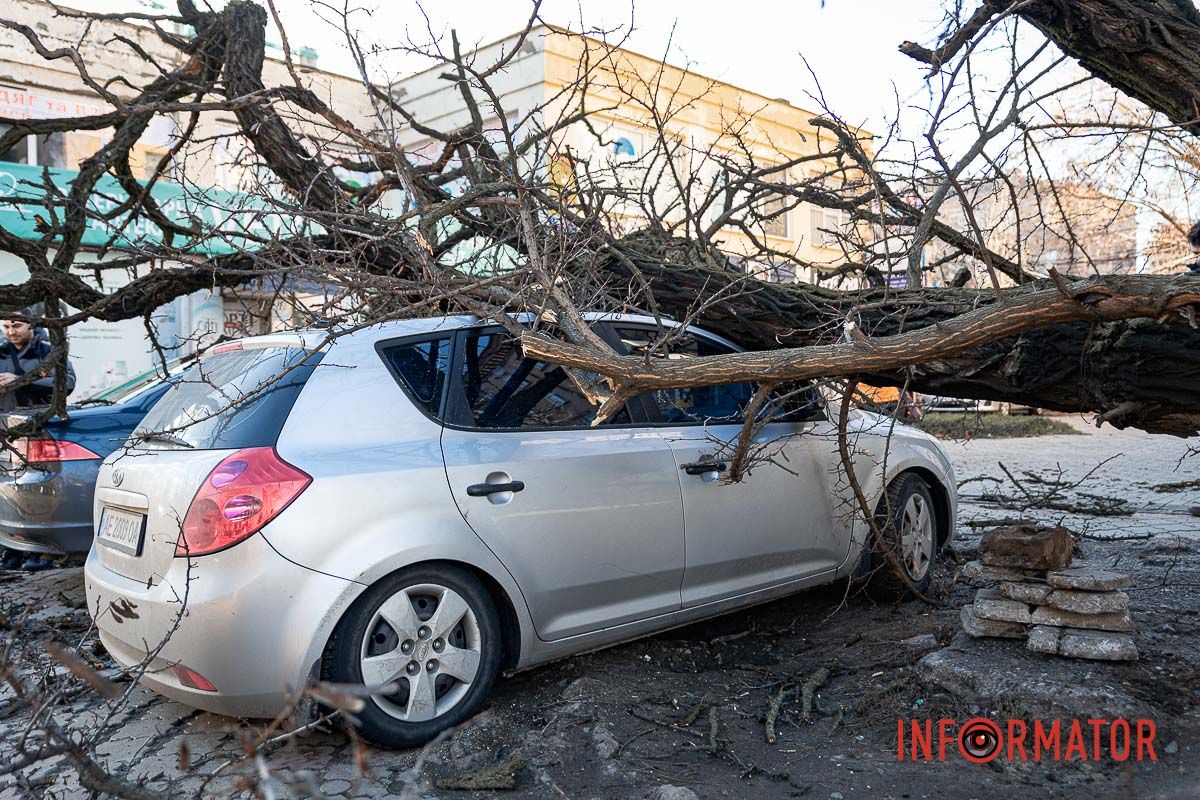 И кто это будет компенсировать? И кто это будет компенсировать?