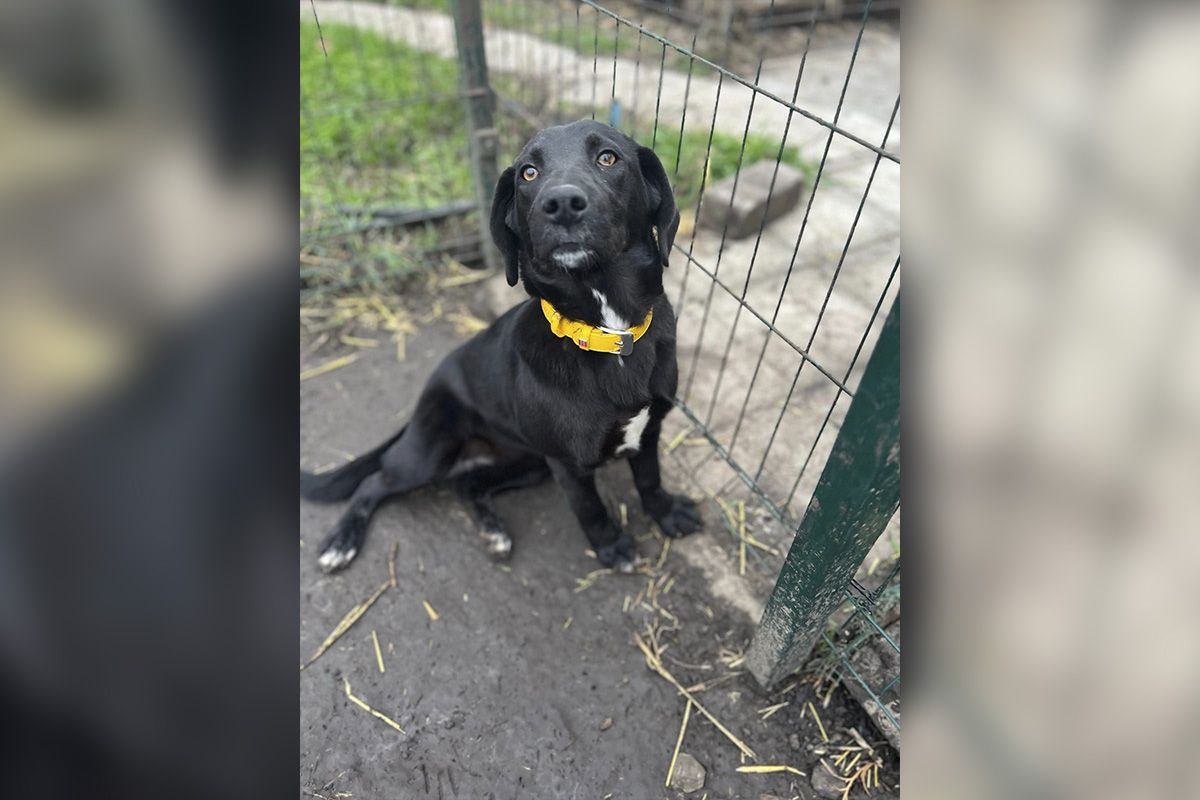 Ей всего 4 месяца Ей всего 4 месяца