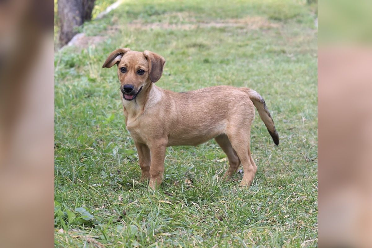 Какая красавица Какая гарнюня