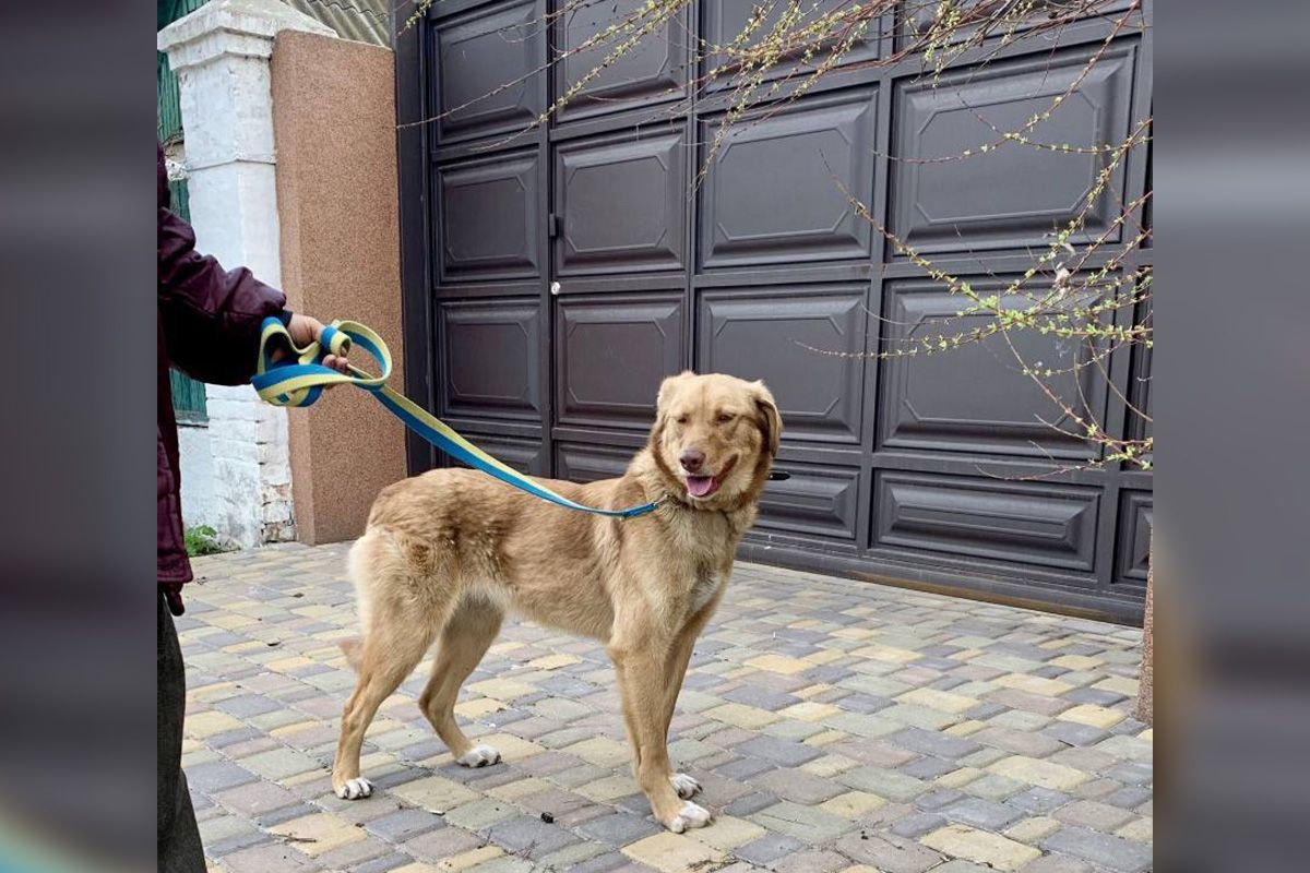 Это Анфиса Это Анфиса