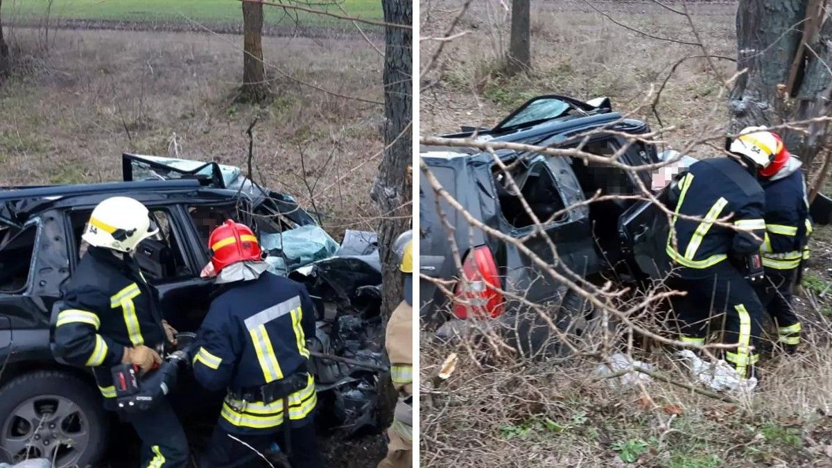 У Кам'янському районі Subaru врізався у дерево: є загиблий та постраждалі