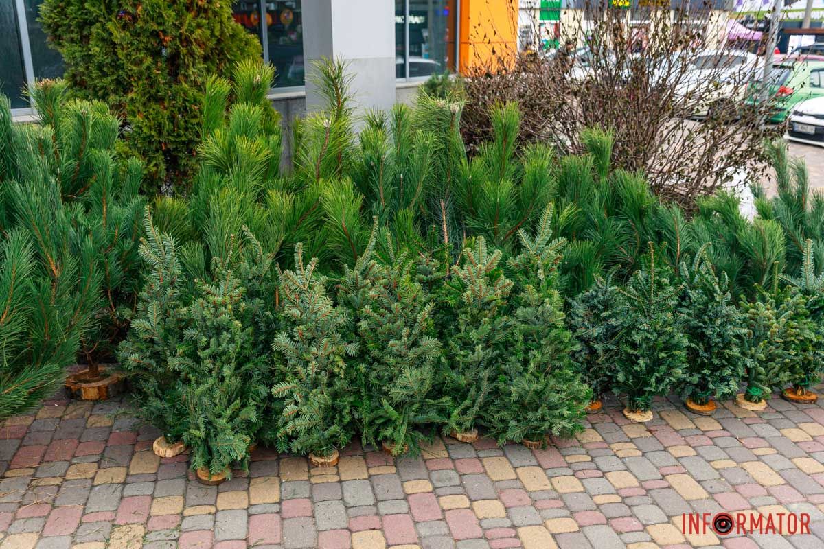 Цены за сборку с веточек стартуют с 200 гривен