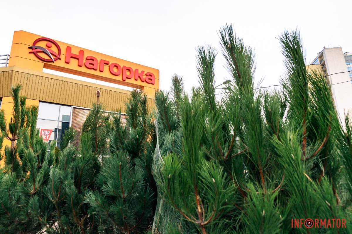 Фото: Андрей Шушпан