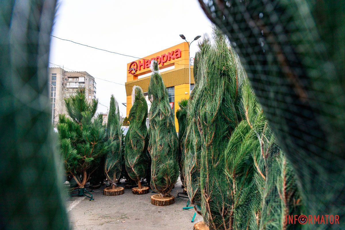 Без них сложно представить Новый год