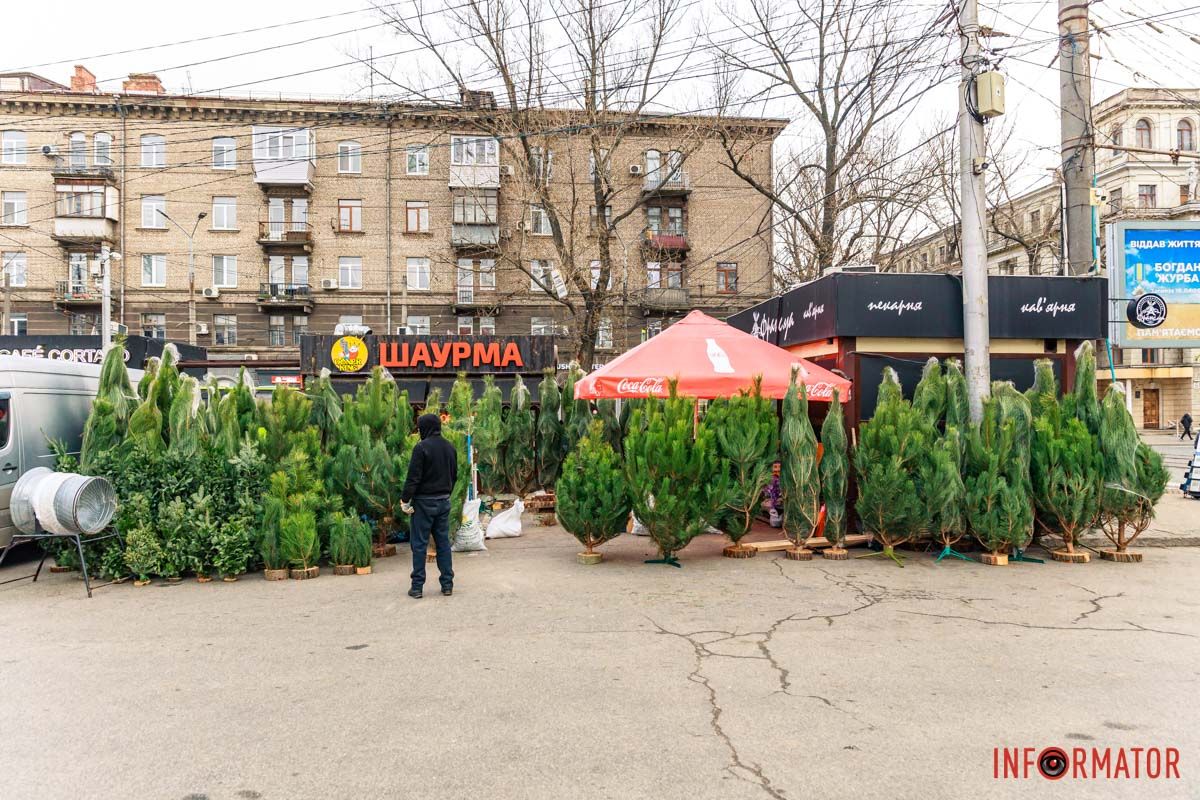 Готовы быть наряженными