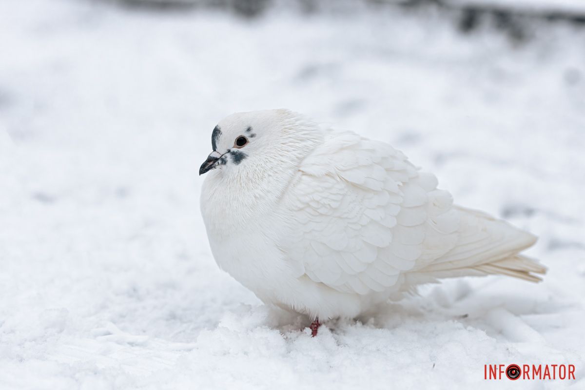 Моменти тиші та краси